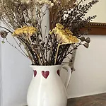 Ancien Cosy